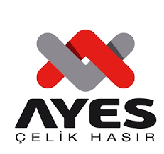 logo-ayes.png